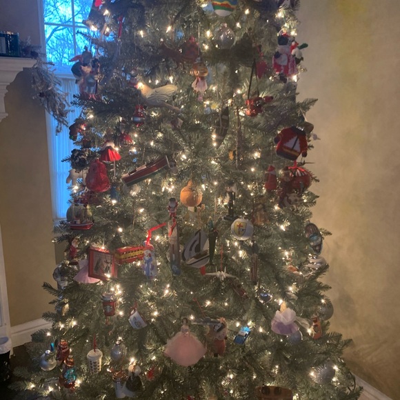 Fall - Picture 2 of 2